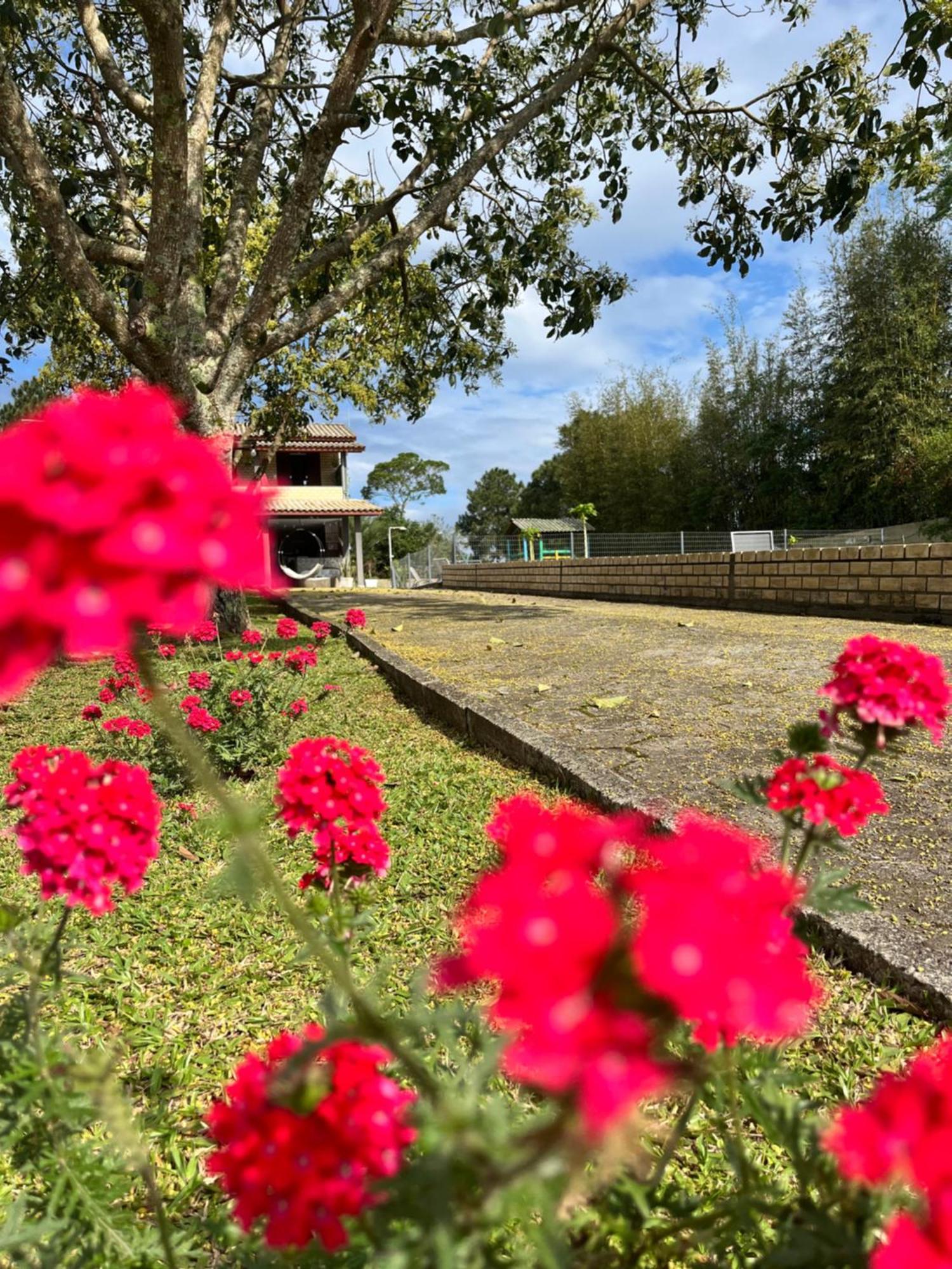 Encantos Do Rosa Imbituba  Bagian luar foto